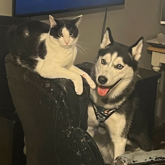 Meet your Posh Ambassador! - Picture 4 of 17